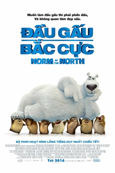 Đầu Gấu Bắc Cực