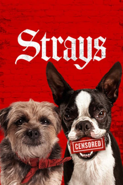 Những Chú Chó Bụi Đời - Strays (2023) (2023)