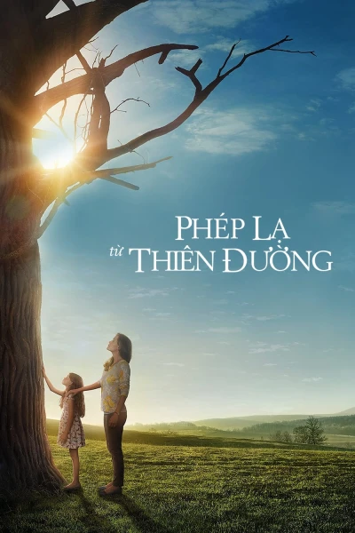 Phép Lạ Từ Thiên Đường - Miracles from Heaven (2016)