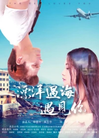 Phiêu du đại dương đến gặp em - We are Meant to Meet (2017)